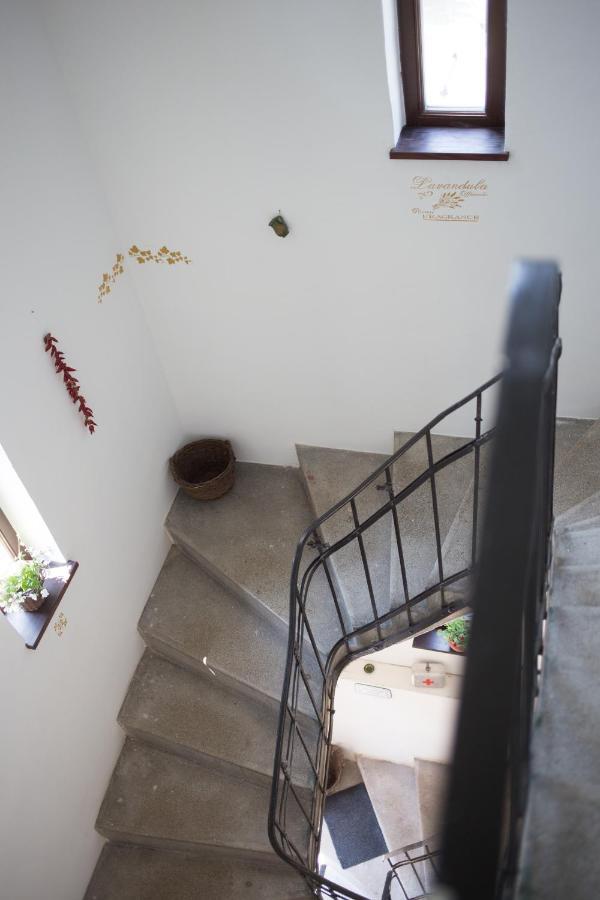Kuria With Free Parking Appartement